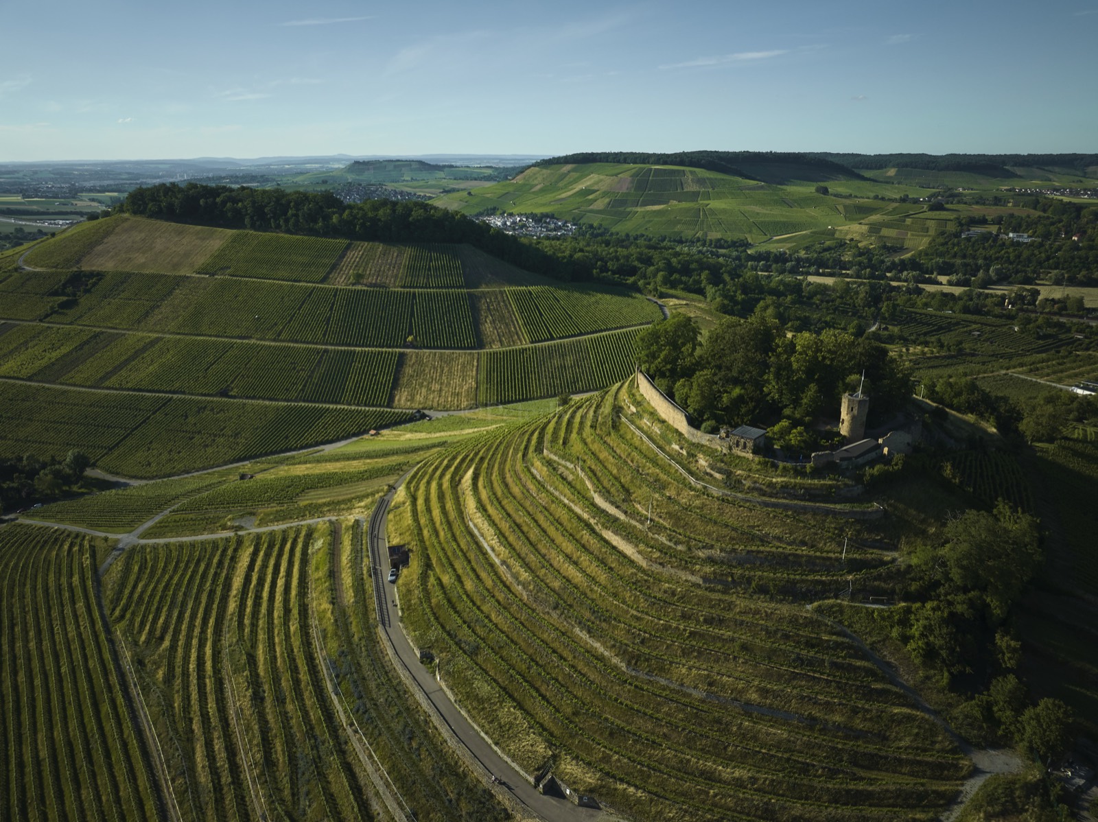 Weinberge und Steillagen rund um die Burg Wildeck